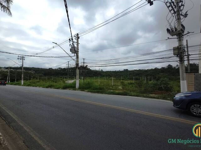 #W1672 - Terreno para Venda em Cotia - SP