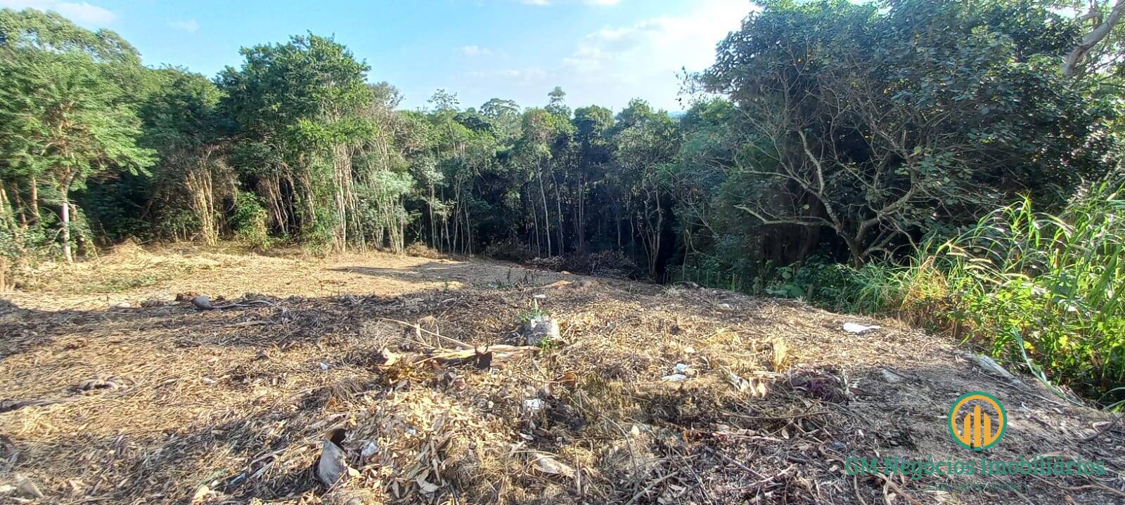 Loteamento e Condomínio à venda, 1000m² - Foto 1